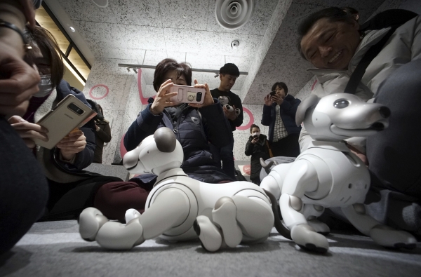 일본 도쿄의 소니 전시장에서 지난 1월 11일 사람들이 신형 로봇개 아이보의 모습을 휴대전화 카메라에 담고 있다. (사진=뉴시스)