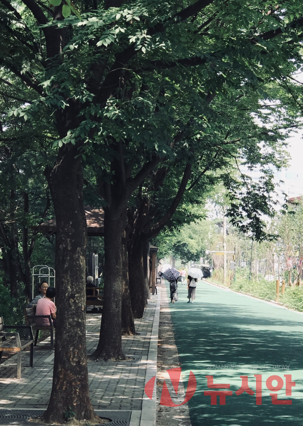 서울의 변두리 태릉의 근린공원은 태평한 모습이다. 더위는 달래면서 피해가는 수밖에 없다. 굵고 푸르게 자란 수목이 그나마 더위를 막아주는 방패의 역할을 하고 있다.(사진=뉴시스)