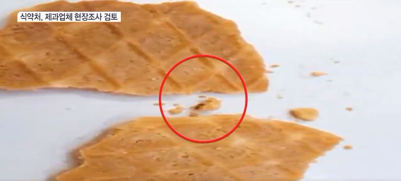 롯데제과 와플 과자에서 살아있는 애벌레가 발견돼 논란이 일고 있다. (사진=SBS Biz 캡처)