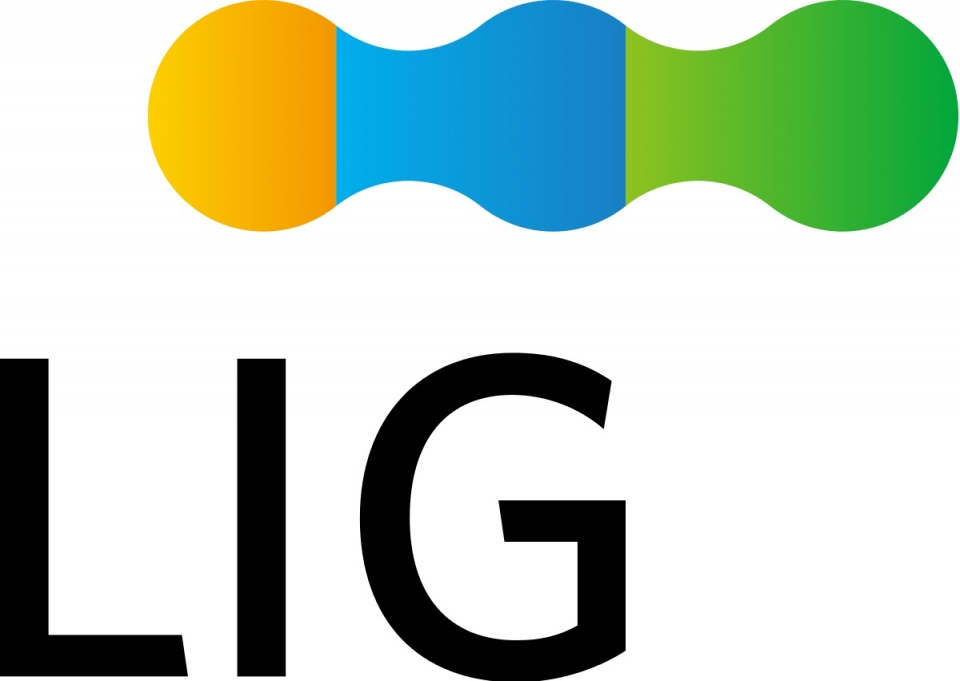 국세청이 LIG그룹을 대상으로 세무조사를 진행했다. (사진=LIG)