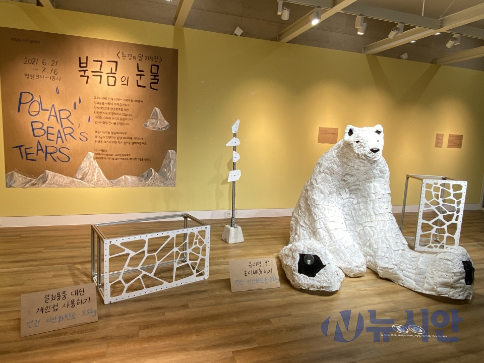 KT&G가 상상마당 대치 갤러리에서 업사이클링 전시회 '북극곰의 눈물'을 진행한다. (사진=박은정 기자)