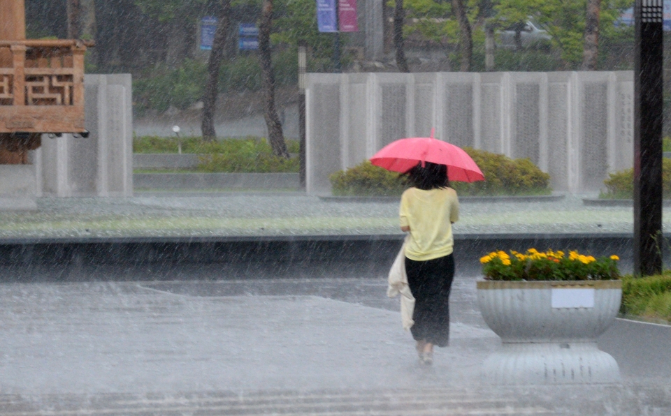 지난 25일 전북대 학생이 비오는 교정을 걷고 있다. (사진=뉴시스)