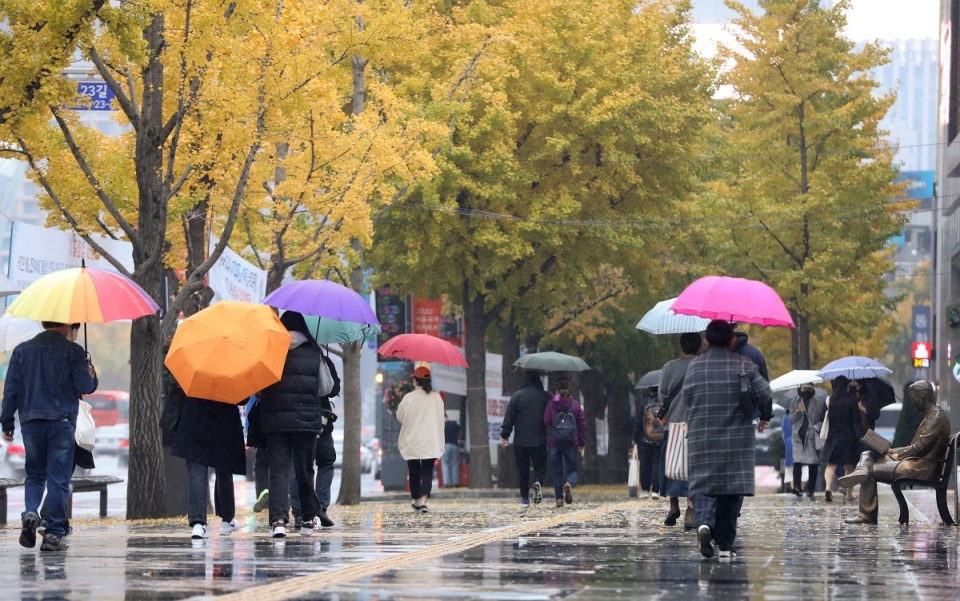 전국에 가을비가 내린 1일 서울 종로구 광화문 인근에서 시민들이 낙엽길을 걷고 있다. (사진=뉴시스)