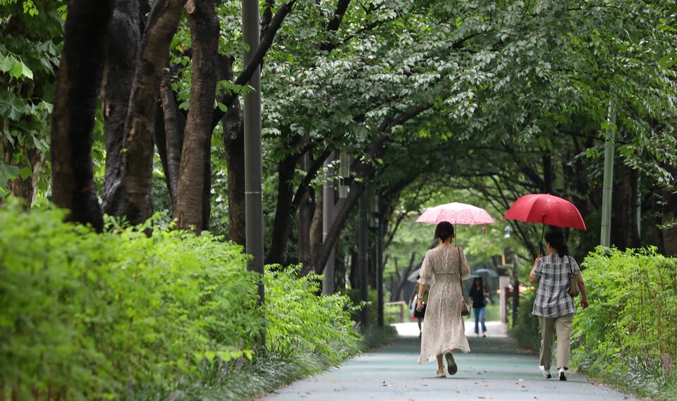 전국 대부분 지역에 비가 내린 지난 7월 31일 오후 서울 서초구 양재천길에서 우산을 쓴 시민들이 녹음  을 산책하고 있다. (사진=뉴시스)