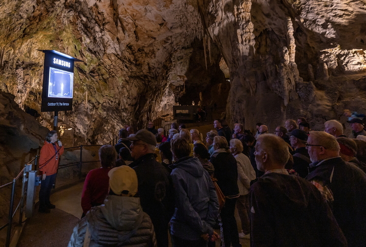 삼성전자가 연간 100만명 이상이 방문하는 슬로베니아 포스토이나 동굴에 아웃도어용 라이프스타일TV '더 테라스'를 설치해, 관람객들이 동굴에 서식하는 희귀 동물 '올름'을 더욱 생생하게 관찰할 수 있도록 했다. [사진 = 삼성전자 제공]
