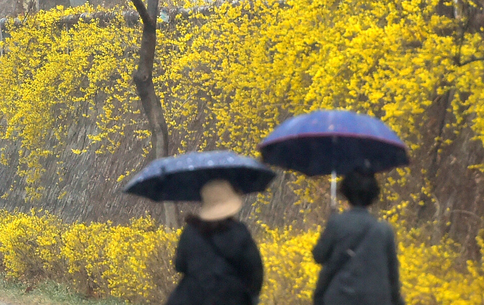 봄비가 내리는 지난 12일 오후 대구 중구 대봉교 인근 신천둔치에서 시민들이 우산을 쓰고 산책을 하고 있다.  [사진=뉴시스]
