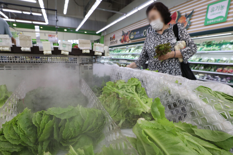 최근 집중호우와 폭염이 반복되며 오이·상추 등 채소 가격이 폭등하고 있다. 사진은 지난 25일 서울 시내 대형마트에서 고객들이 상추를 고르고 있는 모습. [사진=뉴시스]