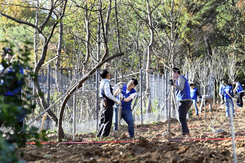 삼성생명 임직원들이 지난 2일 서울 은평구 둘레길에서 조경수를 심는 식목 봉사를 하고 있다. [사진=삼성]