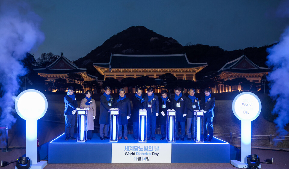 서울 종로구 청와대 본관 앞에서 지난 11월 14일 열린 '보건복지부-대한당뇨병학회 공동 주최 당뇨병 극복을 위한 청와대 푸른빛 점등식'에서 참석자들이 점등식을 하고 있다. [사진=뉴시스]