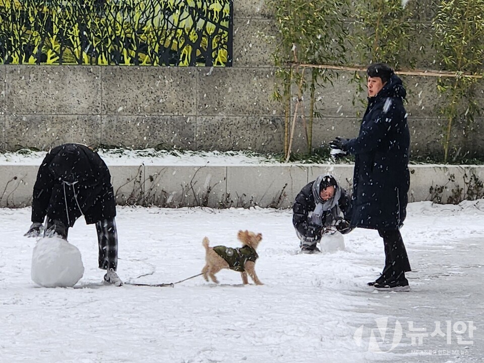 2015년 이후 8년 만에 서울에 하얀 눈이 내린 25일 크리스마스를 맞아 서울의 한 아파트 단지에서 가족들이 강아지와 함께 눈사람을 만들고 있다. [사진=김수찬 기자]