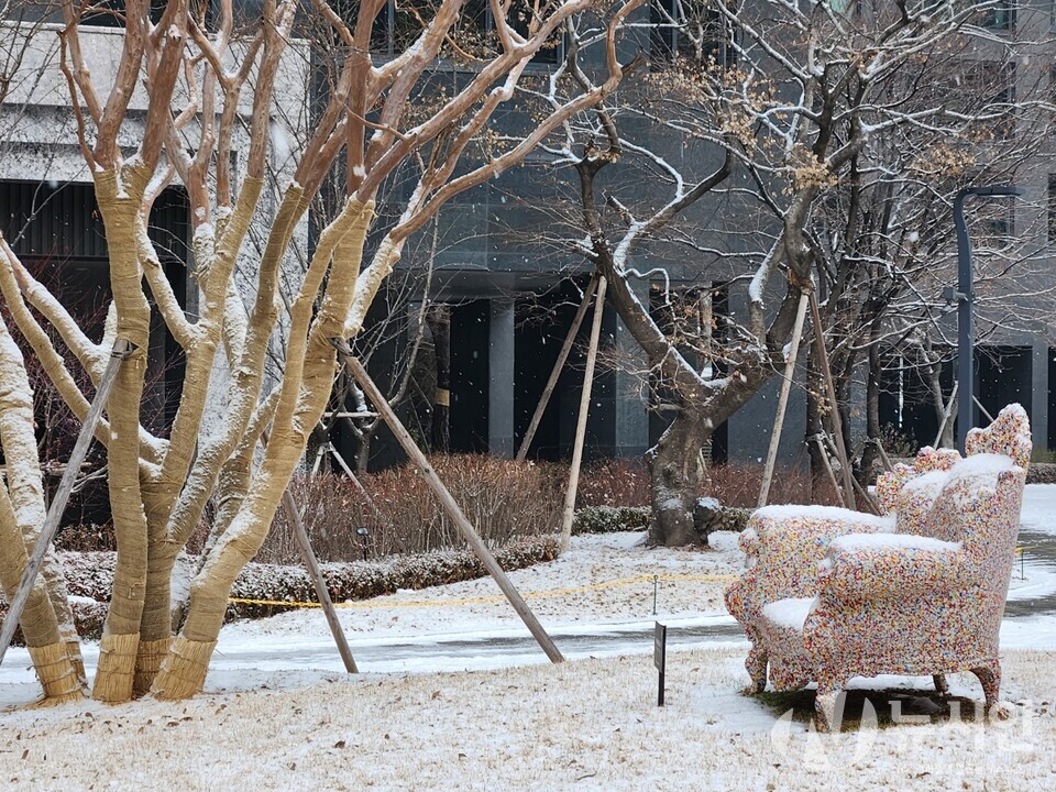 지난 2015년 이후 8년만에 하얀눈이 내린 25일 크리스마스에 서울의 한 아파트 단지 내 설치된 조형물에 하얀 눈이 소복히 쌓이고 있다.[사진=김수찬 기자]