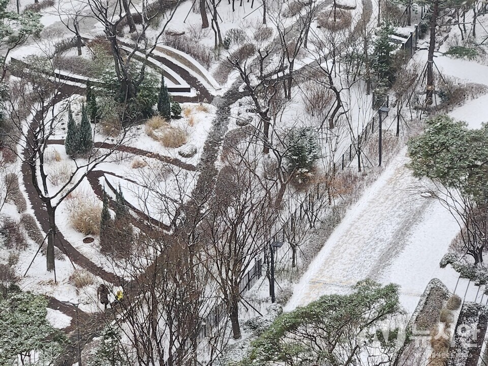 지난 2015년 이후 8년만에 하얀눈이 내린 25일 크리스마스날 서울의 한 아파트 단지 내 고층에서 내려다본 정원 풍경.[사진=김수찬 기자]