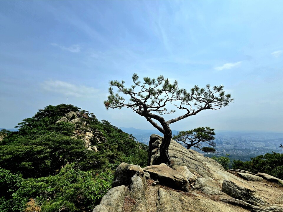 [김동선의 작가 노트] 아니꼽숀