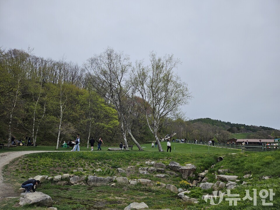 일요일인 4일 전국이 오전 중 대체로 흐리고 비가 내리다가 낮부터 저녁 사이 하늘이 개겠다.  [사진=뉴시안]