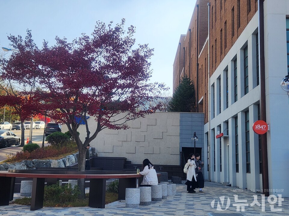 2025학년도 신입생 모집에서 지방 4년제 대학의 45%가 정원 미달, 일부 전문대는 충원율이 60%에도 미치지 못했다. 사진은 수도권의 한  대학 캠퍼스 전경. [사진=이태영 기자]