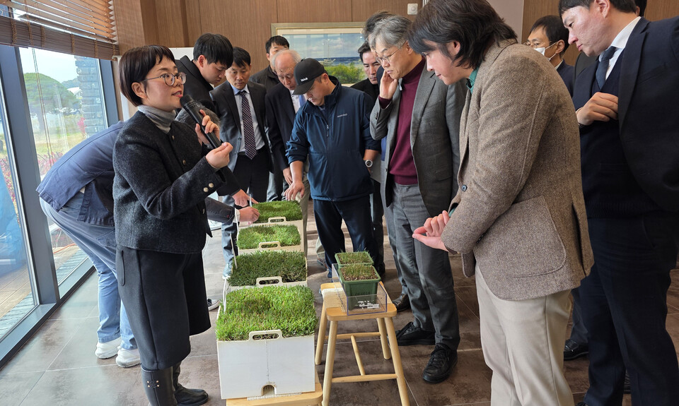 국립산림과학원의 배은지 임업연구사가 자체 개발한 신품종 한국잔디 9종 실물을 소개하고 있다. 사진=한국대중골프장협회