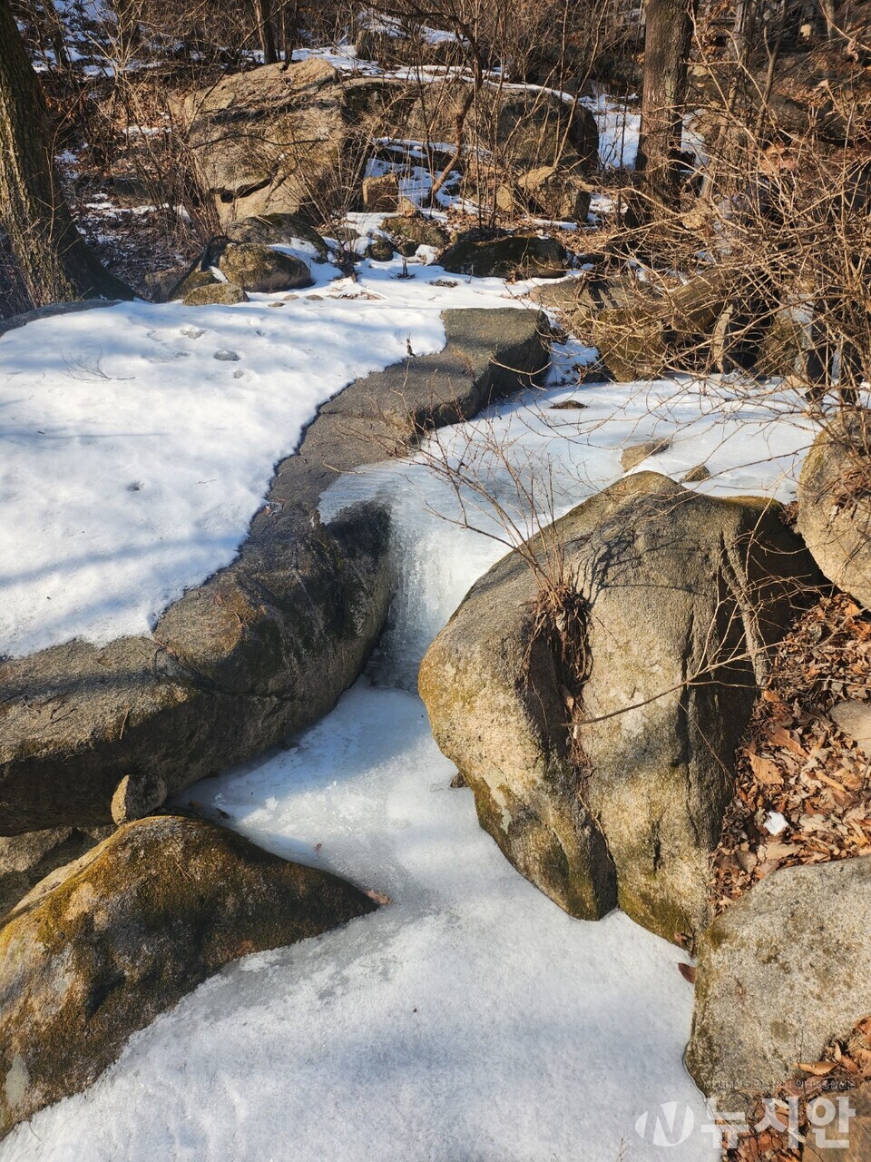 27일 목요일은 전국에 비 또는 눈이 내릴 것으로 예상된다. [사진=뉴시안]
