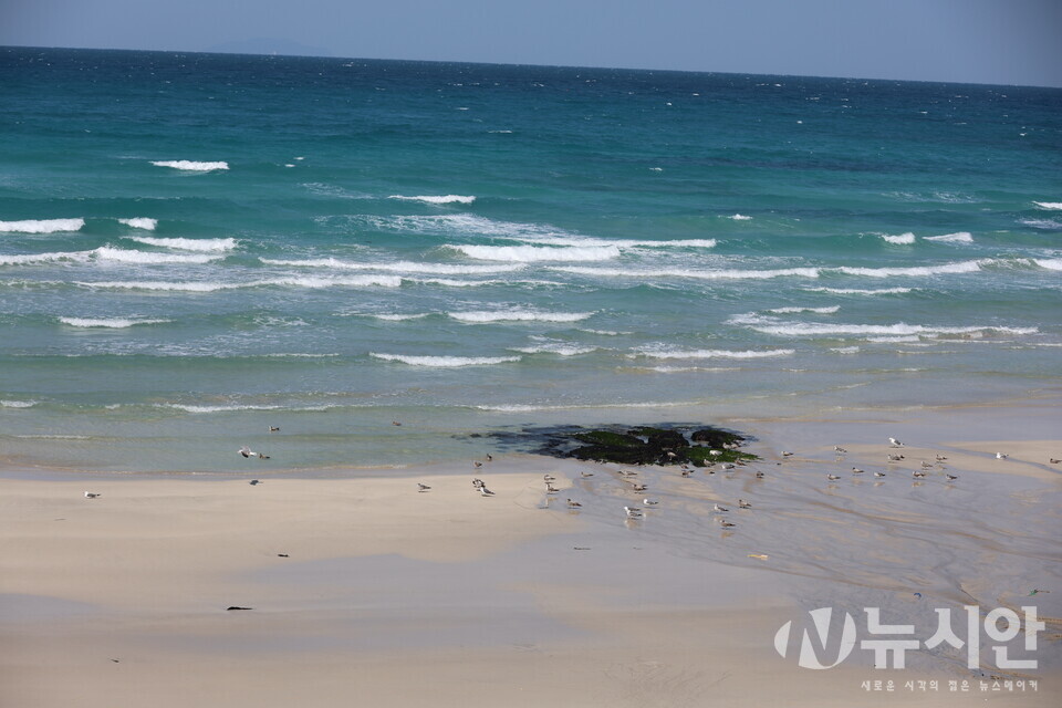 대구 날씨, 오늘 맑고 포근