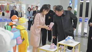 “김정은 뇌사설? 헛소문입니다”… 정보위 보고로 종결된 가짜뉴스